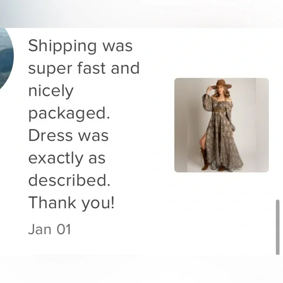 JOYFOLIE Mia Joy Isabella Dress In Olive Floral - Picture 14 of 16